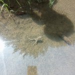 phoca_thumb_m_vp 2.den 33 Fotogalerie